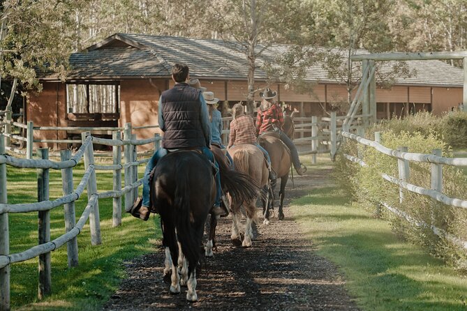 Valley Vista 1.5 Hour Horseback Trail Ride in Kananaskis - Reviews and Ratings