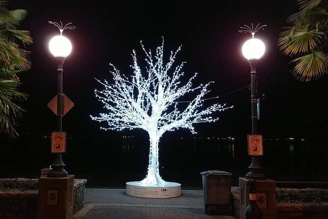 Vancouver Christmas Festival of Lights - Accessibility and Requirements