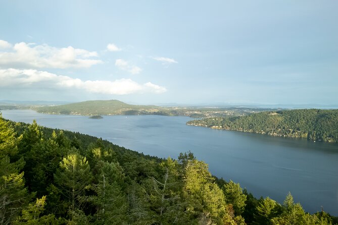 Vancouver Island & Malahat SkyWalk & Cidery Tour - Accessibility and Age Requirements