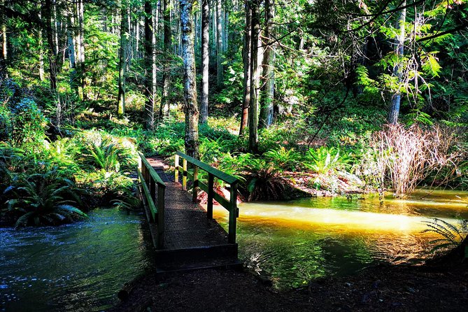 Vancouver Island Rainforest Guided Hike With Private Guide - Accessibility and Requirements
