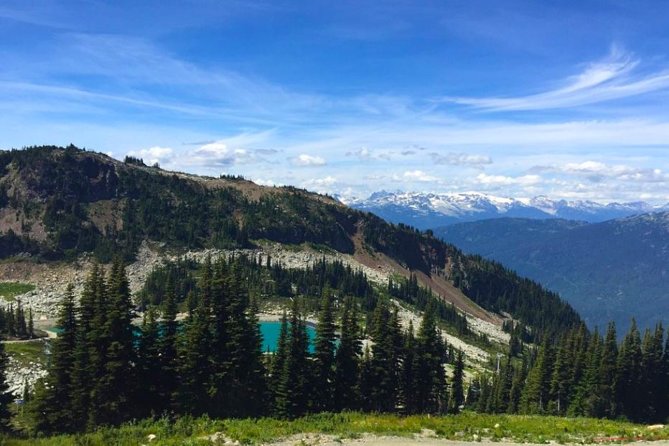 Vancouver Private Charter Tour With Experienced Local Guide - Accessibility and Participation