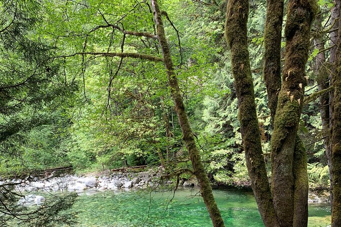 Vancouver Rainforest Hike With Waterfalls, Suspension Bridge, Old Growth Forest - Scenic Views and Highlights