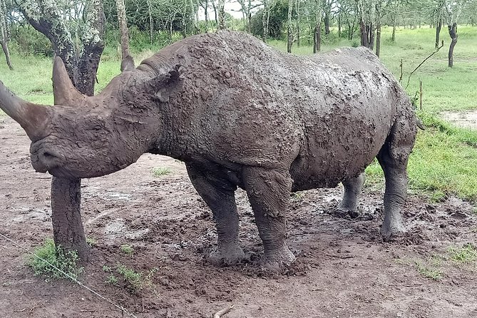 Vegans Special Safari - Pickup Points and Schedule