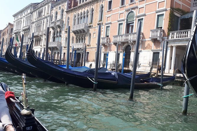 Venice Full Day Tour Review From Milan - Accessibility and Participation
