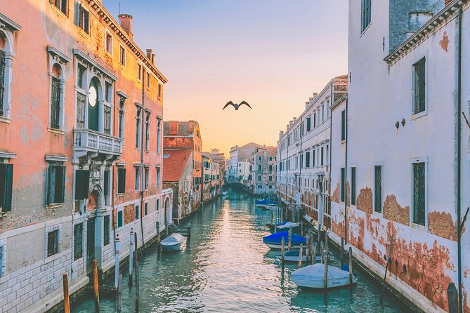 Venice Guided Walking Tour - Meeting Point and Instructions