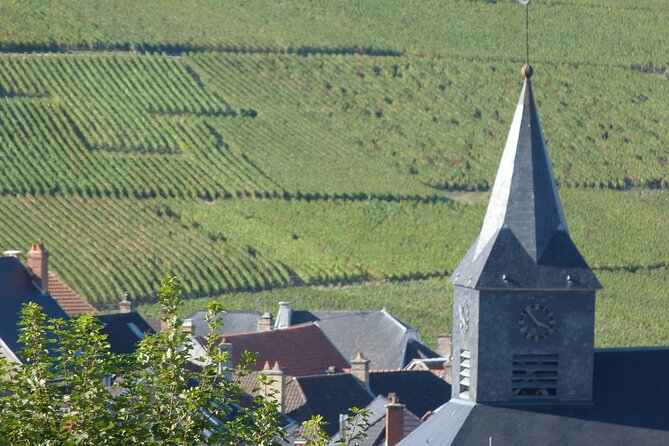 Veuve Clicquot Tasting and Fun Private Tour in Champagne - Champagne Regions History