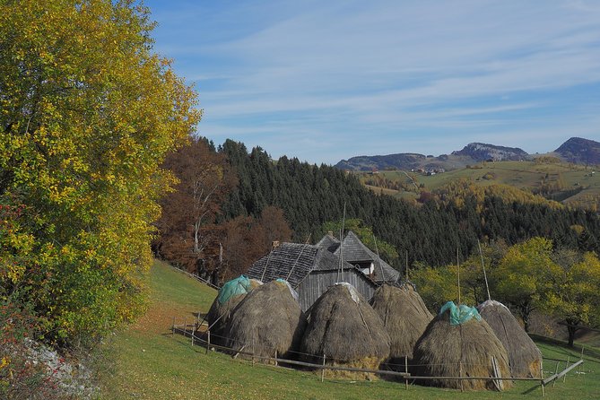 Village Life in Transylvanian Carpathian Mountains - 8 Days - Bran Castle: Draculas Birthplace