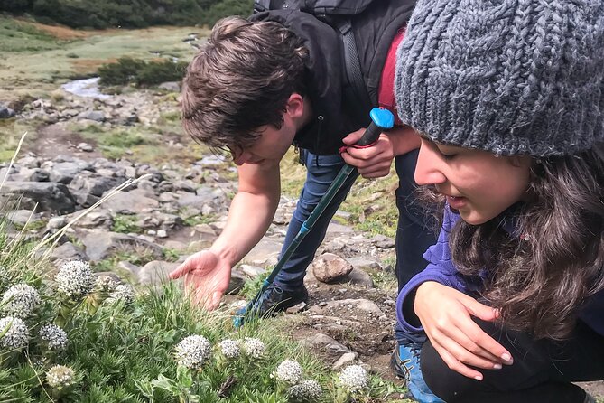 Vinciguerra Glacier Small Group Trek - Considerations Before Booking