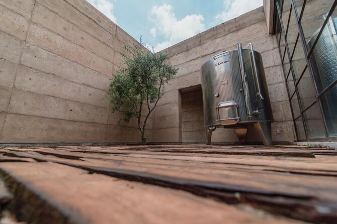Vineyards, Wine Tasting and Pairing in San Miguel - Wine Tasting Experience