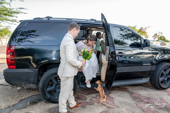 VIP Private Airport Transfer Roundtrip - Cancellation and Accessibility