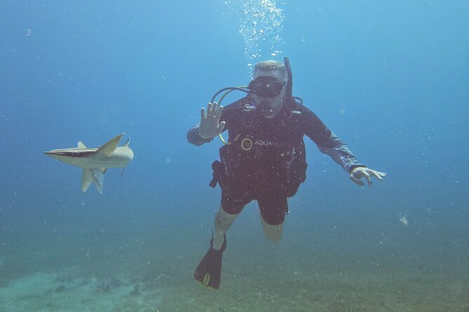 VIP Private Guided Scuba Diving/Snorkeling Excursion - Accessibility and Tour Details