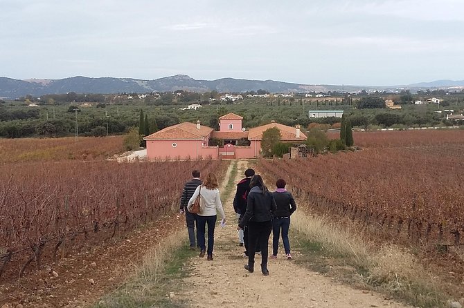 VIP Ronda Wine Tour and Tasting and Gourmet Lunch Experience With Winemaker - Private Tour Details