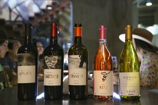 VIP Tasting - Accessibility and Participation