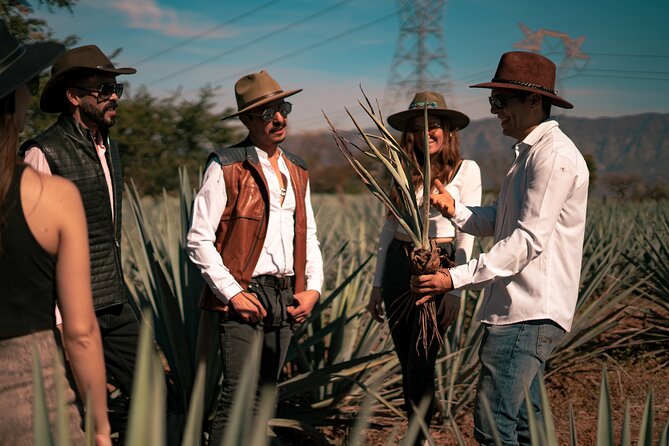 Vip Tequila Experience - Customer Feedback