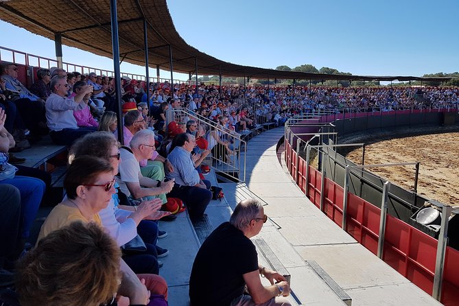 Visit Alvaro Domecq Horses and Brave Bulls in Freedom - Care and Breeding of the Animals