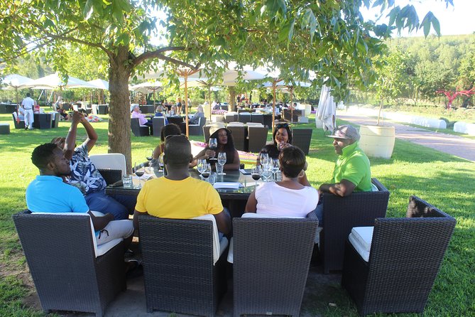 Visit Constantia Wineries + Muzenberg Noordhoek Beaches F/D - Lunch and Refreshments