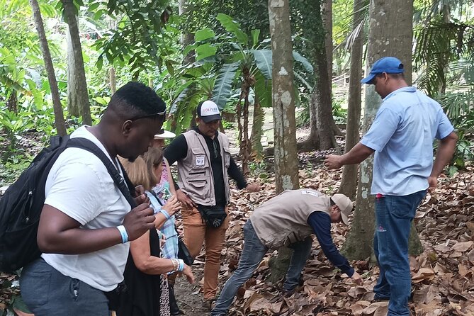 Visiting a Village Beyond the City & Live Real Culture! - Dive Into the Botanical Garden