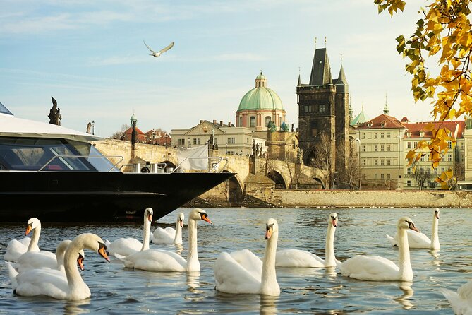 Vltava River Cruise and Private Tour of Prague Old Town - Accessibility and Participation