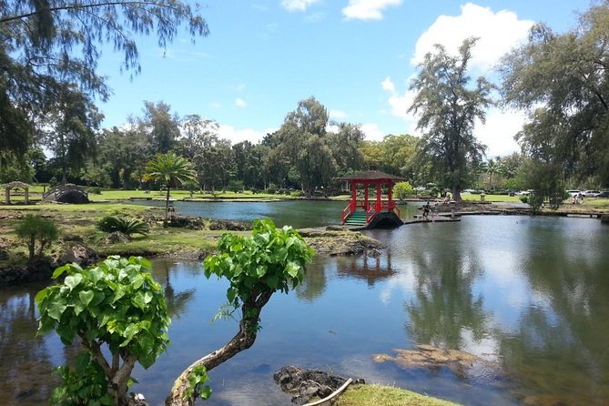Volcanoes Adventure Tour From Hilo - Tour Experience and Reviews
