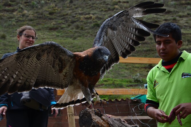 Voluntering at the Cochahuasi Sanctuary - Interacting With the Wildlife