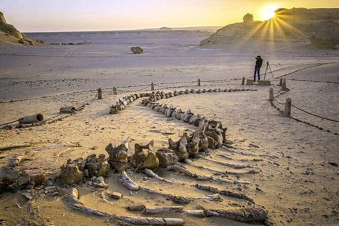 Wadi Al Hitan Day Trip From Cairo - Included Experiences