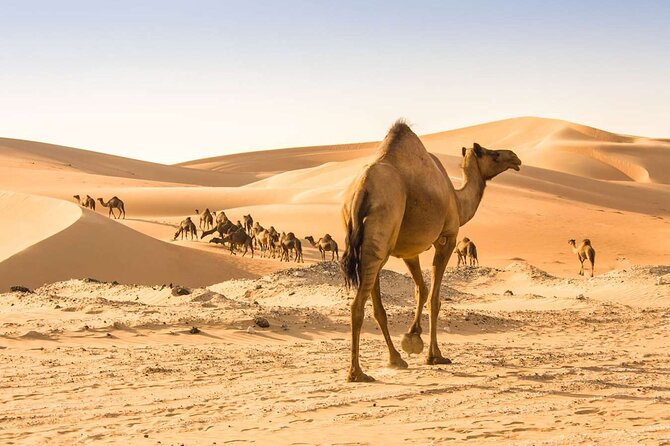 Wadi Bani Khaled & Desert Safari - Muscat, Oman - Inclusions & Exclusions