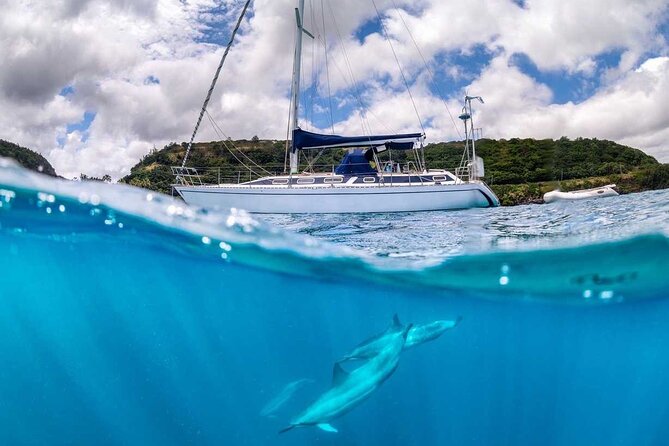 Waikiki Small Group Turtle Snorkeling & Sailing - Health and Safety Considerations