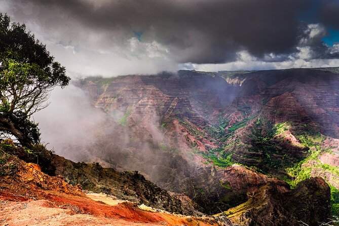 Waimea Canyon Private Tour With Local Guide - Personalized Tour Logistics