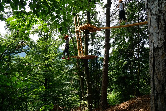 Waldseilpark Wörthersee - Accessibility and Requirements