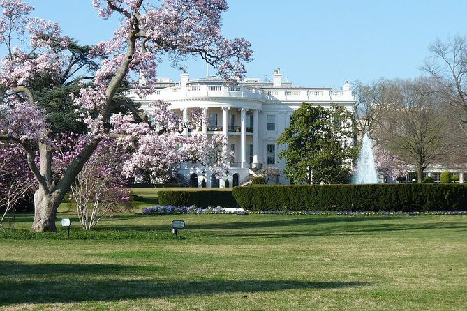 Washington Monument and DC Highlights Tour - Meeting Points