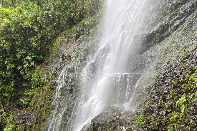 Waterfall and Rainforest Adventure - Health and Accessibility