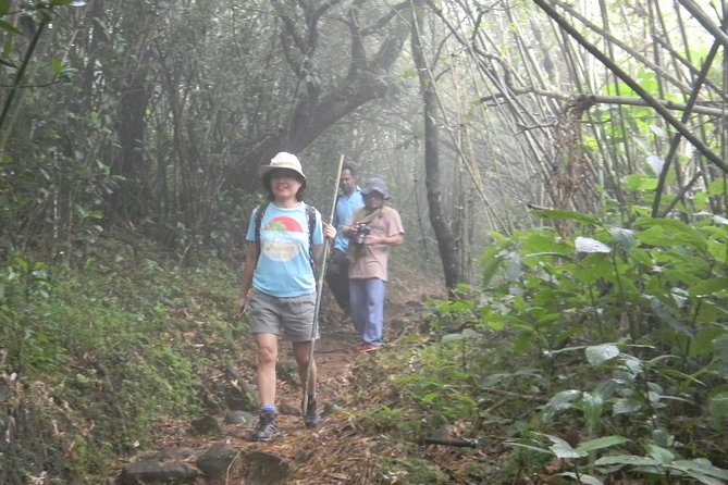 Waterfall Trekking in Knuckles Mountain Range - Included Amenities and Services