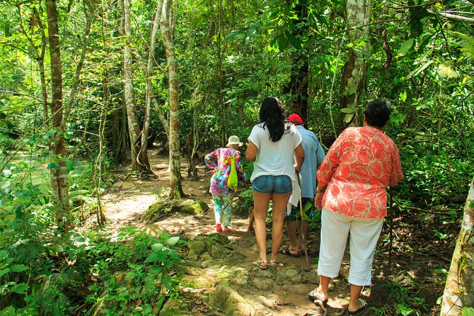 Waterfalls & Nature Day-Trip Experience - Activity Requirements