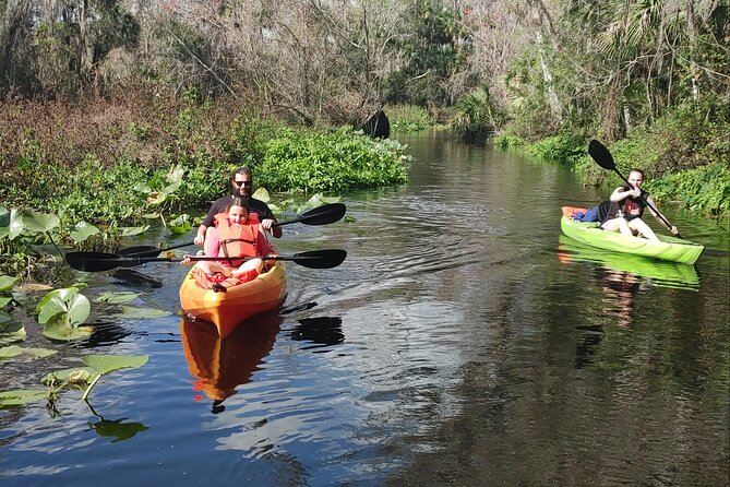 Wekiva Wildlife Kayaking Adventure Tour - Health and Accessibility Considerations