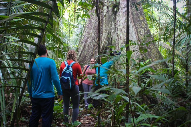 Welcome To the Jungle 5D/4N At Tapiri Rio Negro Lodge - Guest Reviews