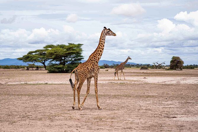 West Kilimanjaro Cycling Adventures - Health and Safety Considerations