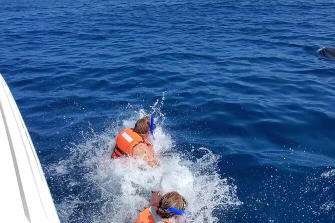 Whale Shark Adventure in Isla Mujeres and Cancun - Customer Experiences and Feedback