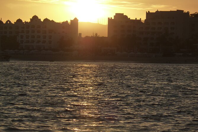 Whale Watching in Cabo San Lucas on Board Our Luxury Trimaran! - Customer Feedback and Ratings