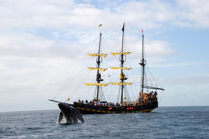 Whale-Watching Pirate Ship Cruise in Los Cabos - Amenities and Accessibility