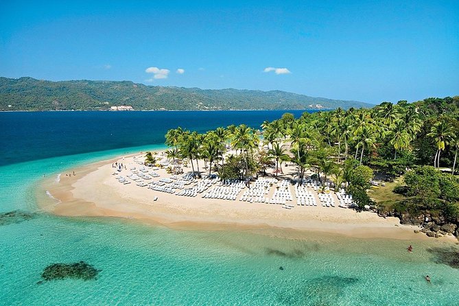 Whale Watching & Samana Bacardi Island - Customer Reviews and Ratings
