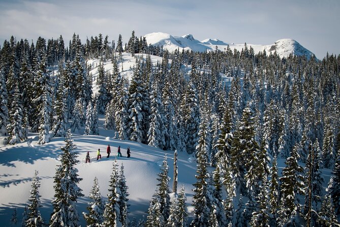 Whistler Snowshoeing Adventure - Meeting Point and Logistics