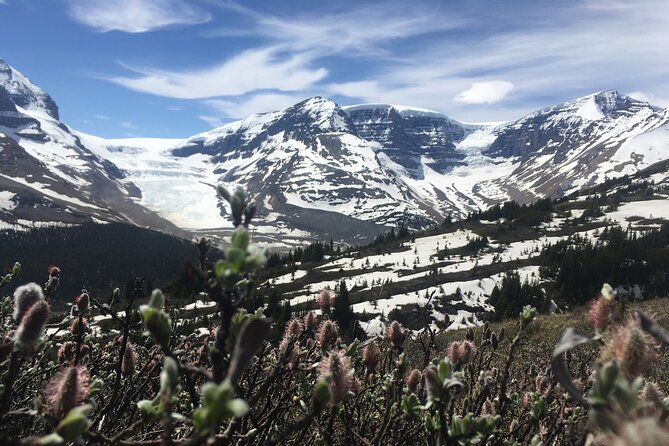 Wilcox Pass - Booking and Cancellation