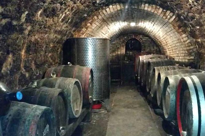 Wine and History Half-Day Tour From Budapest With Lunch and Tastings - Wine Tasting Adventure