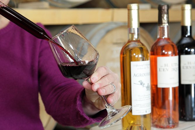 Wine Animation From the Vine to the Wine - Accessibility and Additional Information