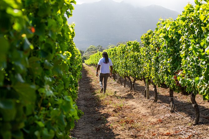 Wine Beer and Biltong Safari - Stellenbosch - Wildlife Viewing Opportunities