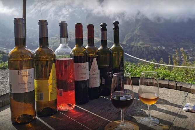 Wine Day Tour & Lunch in the Vineyard - Expert-led Vineyard Exploration