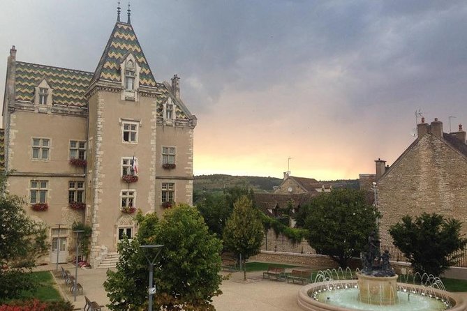 Wine Experience With Tasting in Burgundy - Cancellation Policy