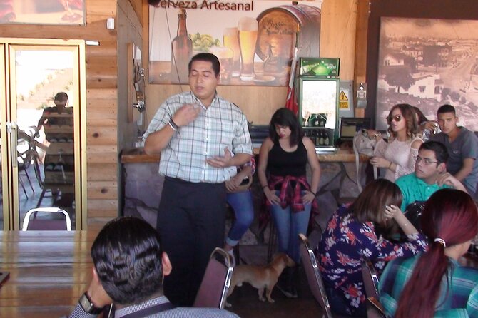Wine Route Including Tastings - Schedule and Accessibility