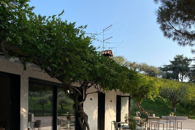Wine Tasting Asolo Prosecco at Tenuta Baron - Tasting the Asolo Prosecco DOCG