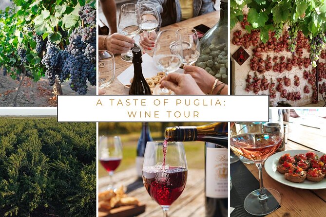 Wine Tasting Experience in the Apulian Countryside - Pairing Local Delicacies